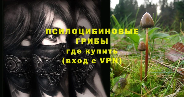 ALPHA PVP Богородицк