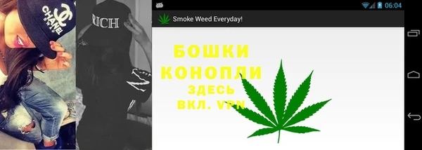 прущие крисы Богданович