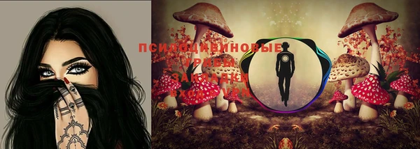 прущие крисы Богданович